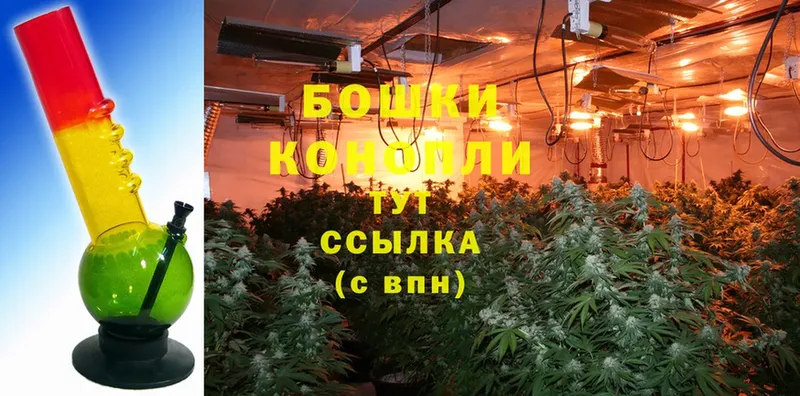 Конопля Ganja  наркотики  Бикин 